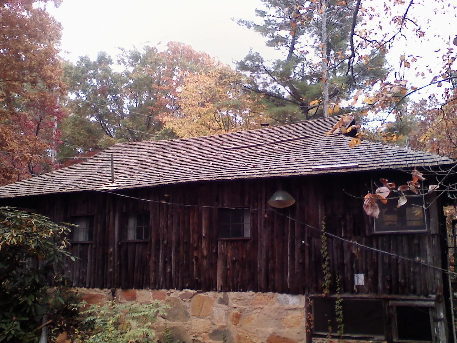Weathered wood shake roof on a rustic board sided cabin in Lakewood